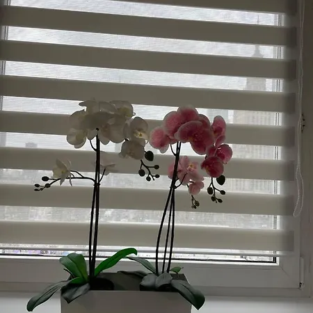 아파트 W Centrum Warszawy